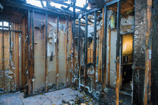 Professional Soot Removal technician working in Rosedale, MD